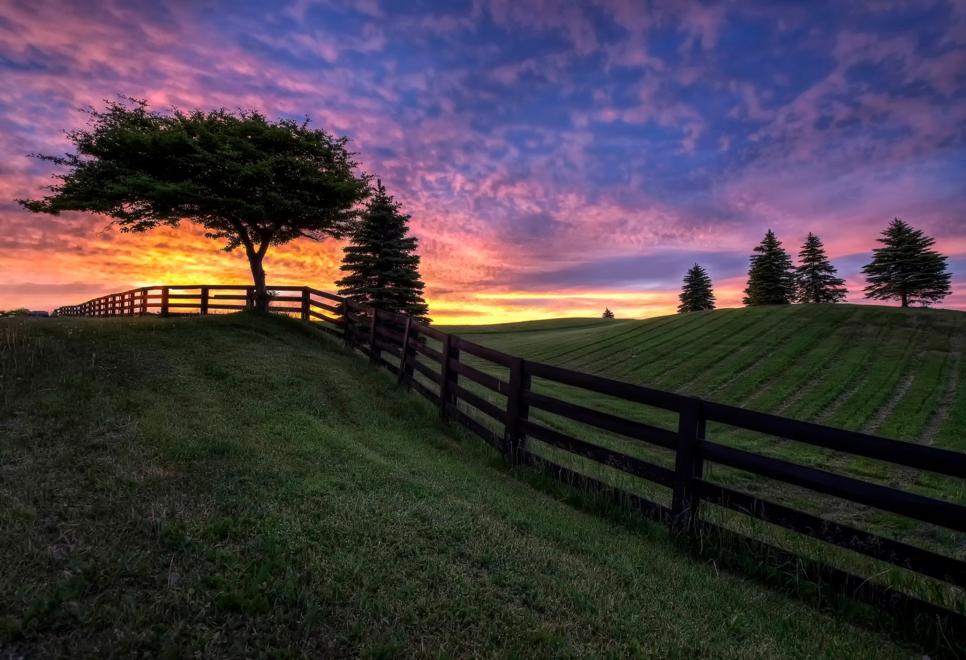 the field tree fence sky cloud