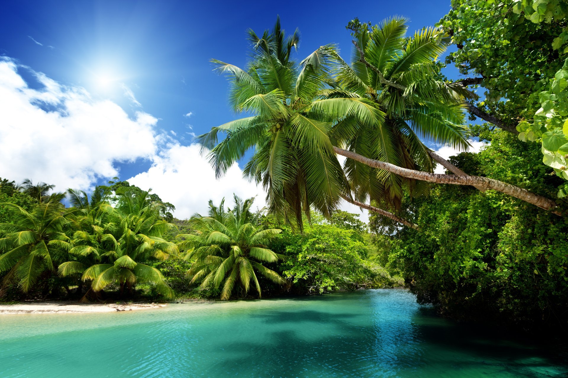 tropisch paradies strand meer blau smaragd ozean palmen sommer urlaub tropen sonne