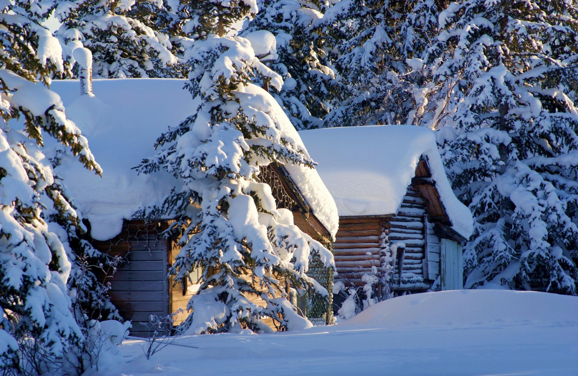 neve abete rosso casa inverno