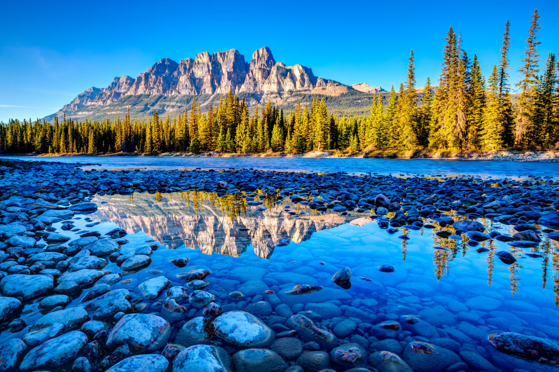 nature mountain stones forest