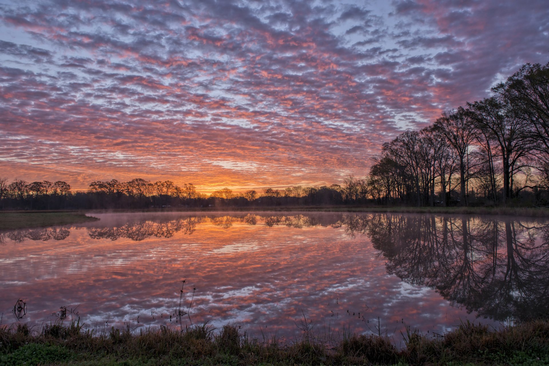 états-unis louisiane rivière eau surface réflexion côte arbres soir coucher de soleil ciel nuages