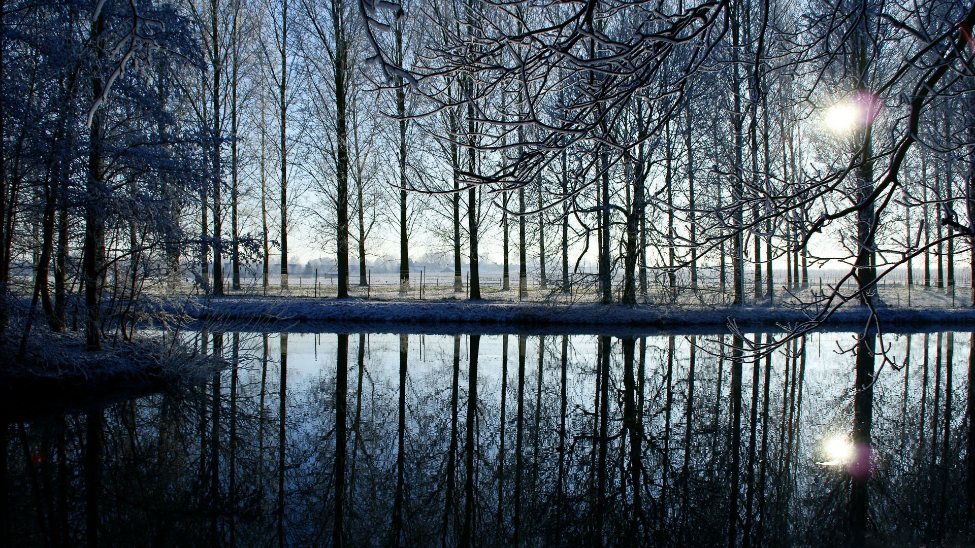 trees water river lake reflection evening sunset fence fence sun snow winter branche