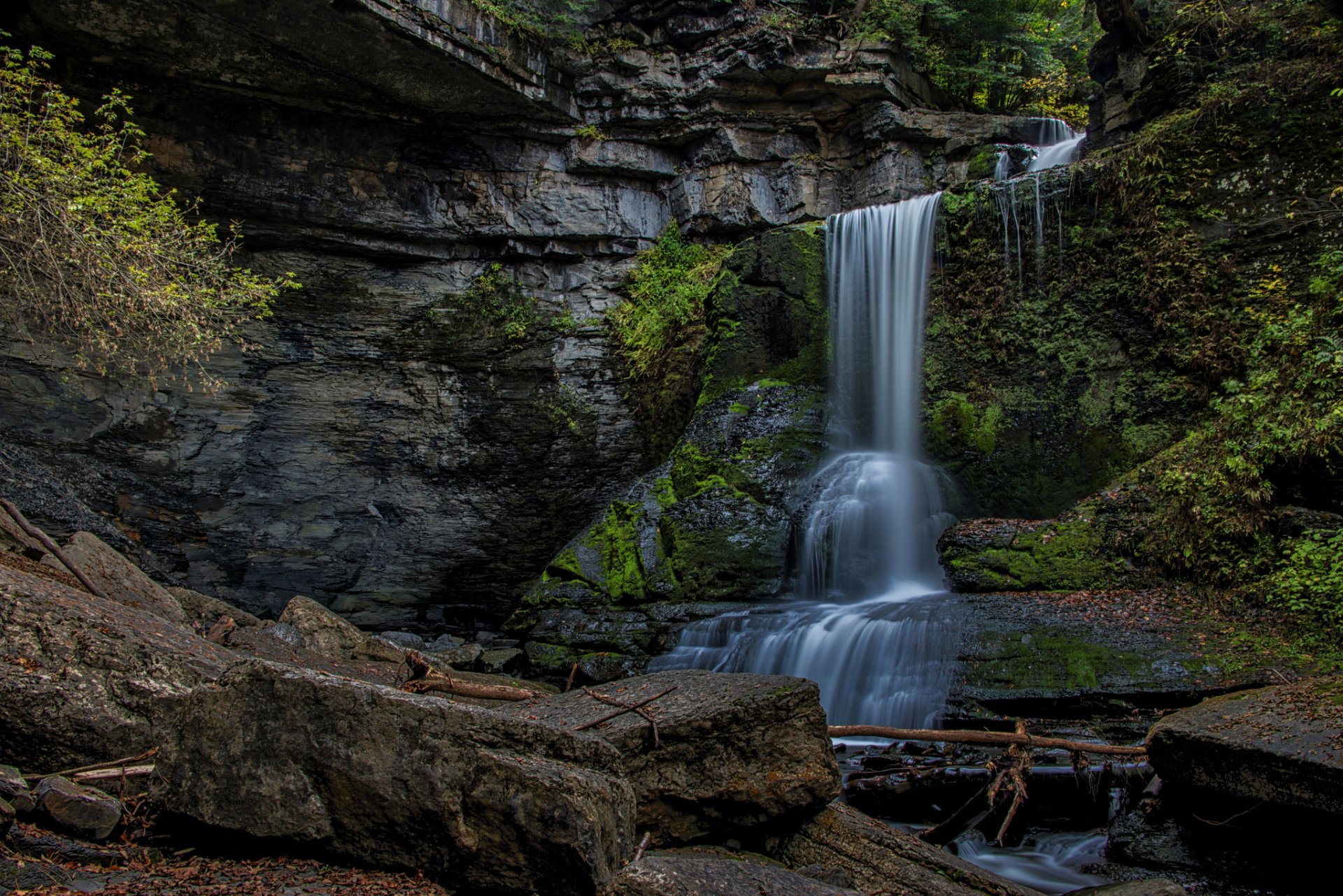 parc roches végétation cascade cascade