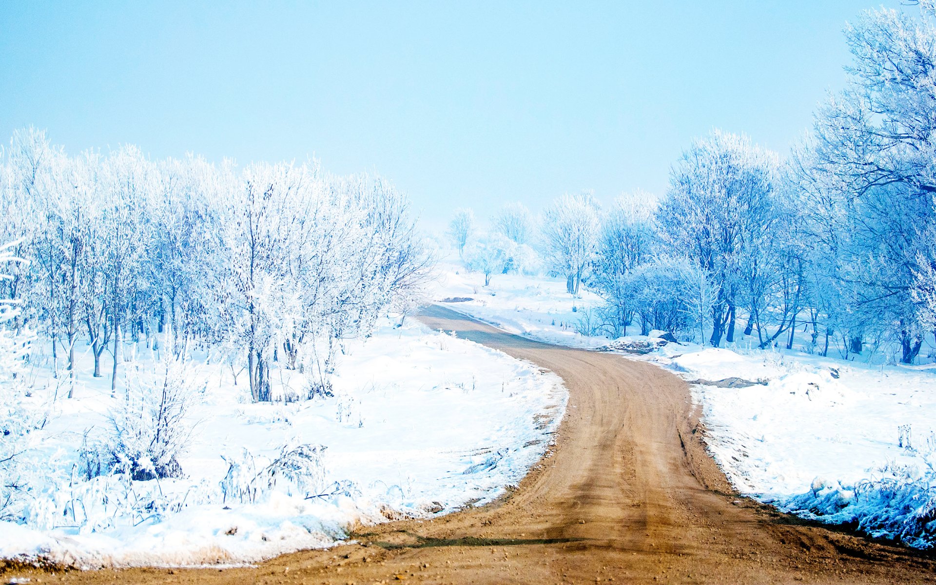 now way snowy way snow road tree