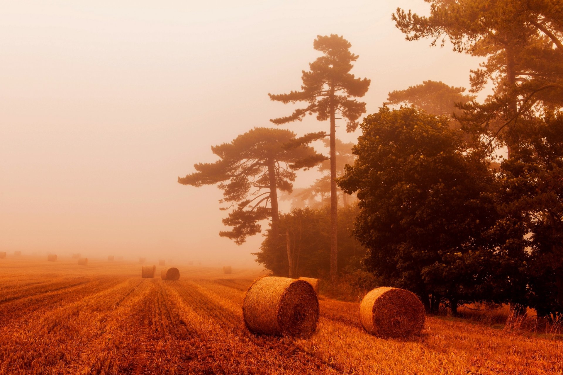 nature landscape view sky field bales wheat straw fog view straw