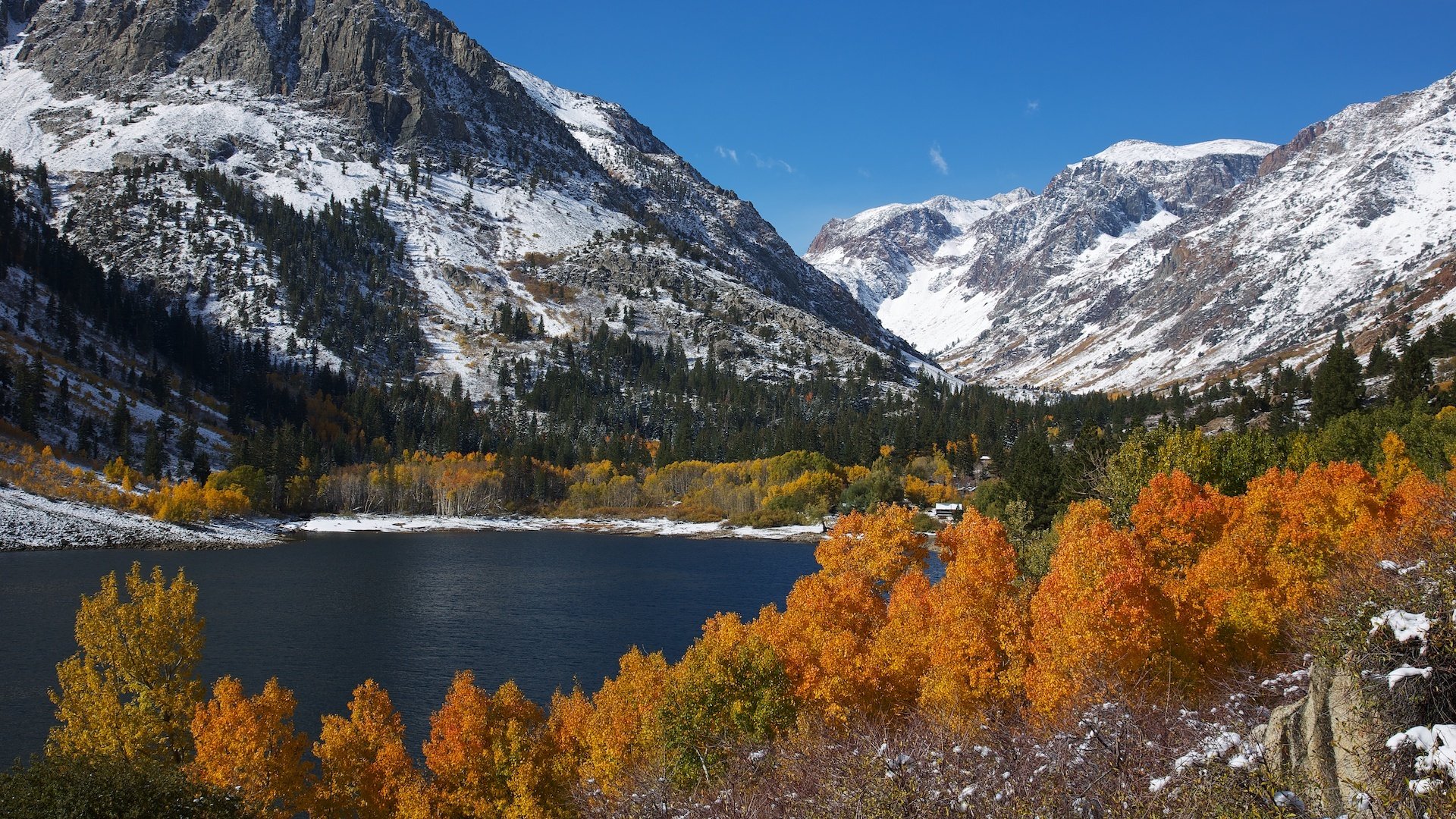 montañas nieve lago árboles follaje otoño