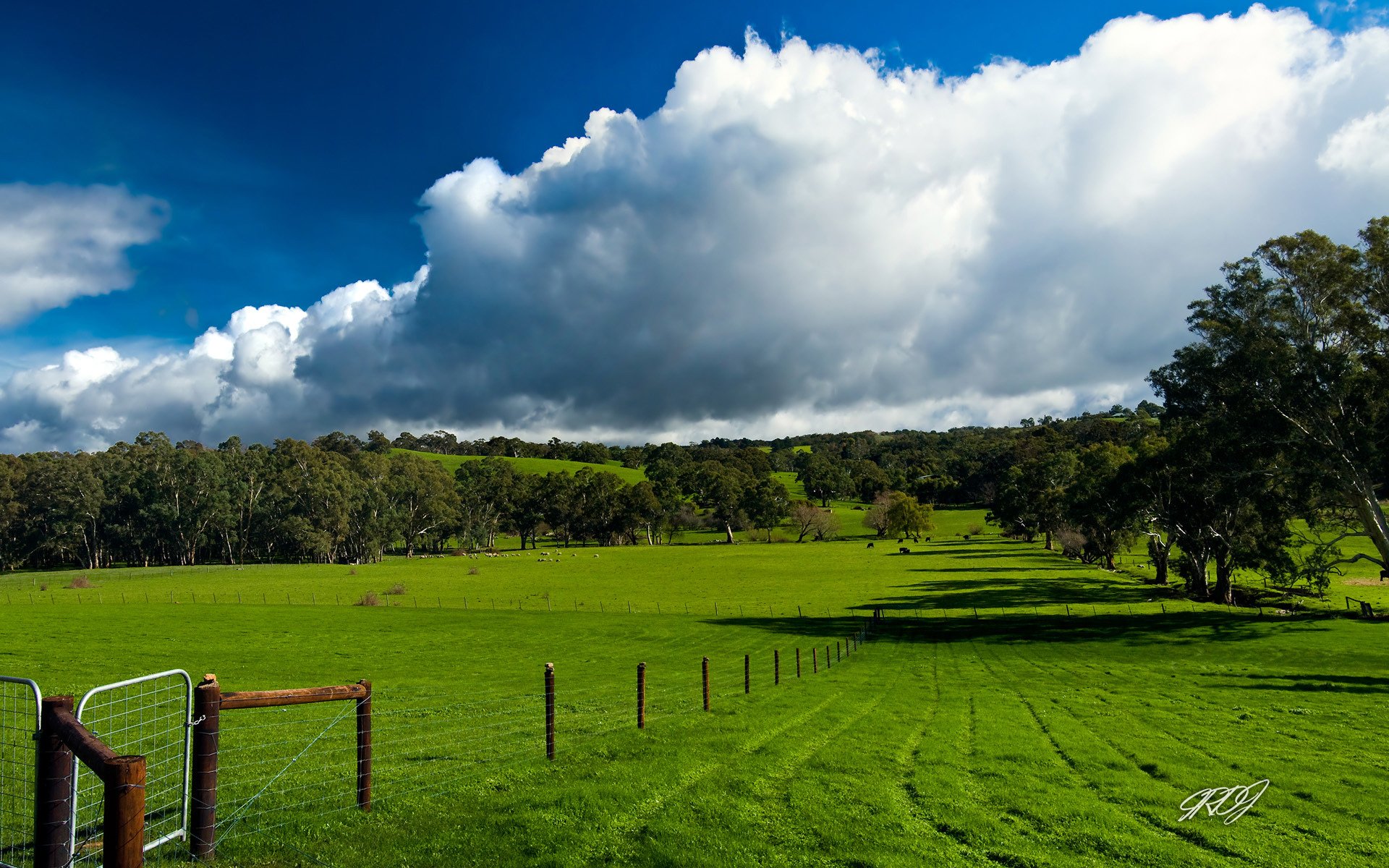 nubes campo jardín