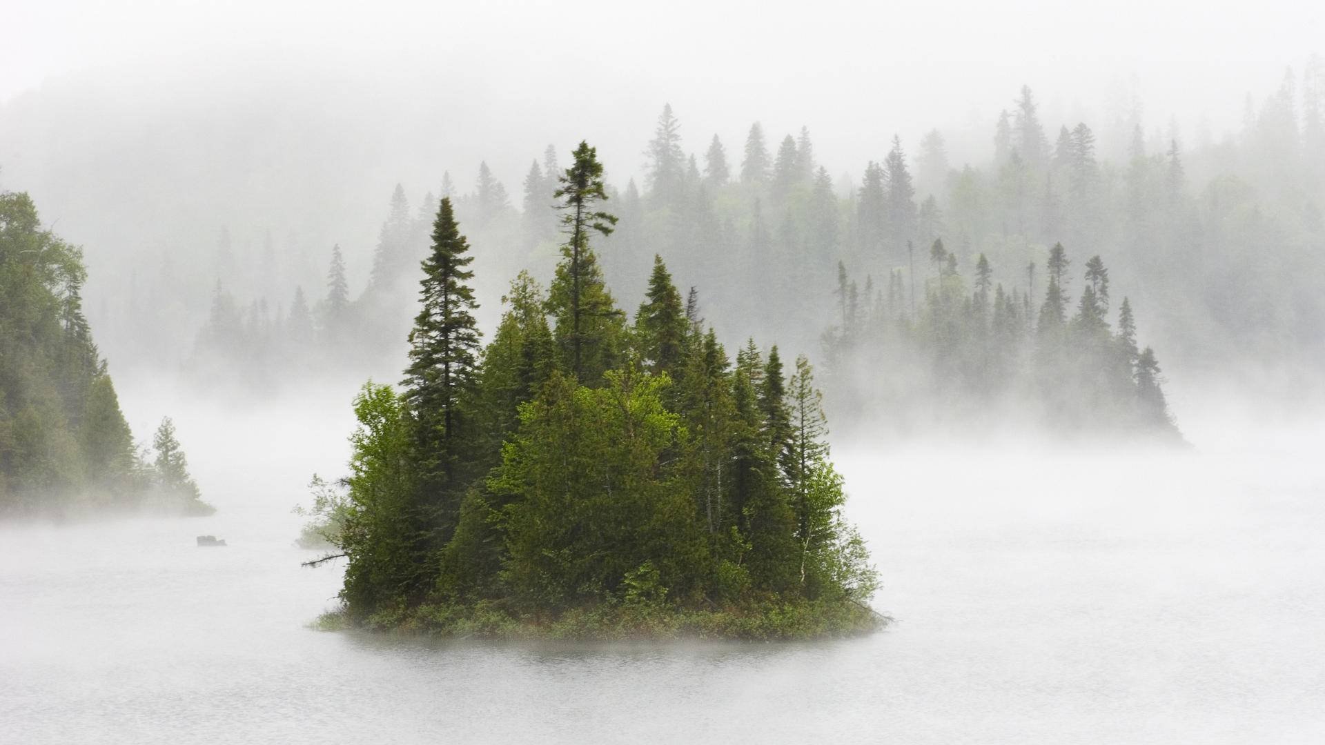 foresta fiume nebbia natura nebbia sul lago fentol canada