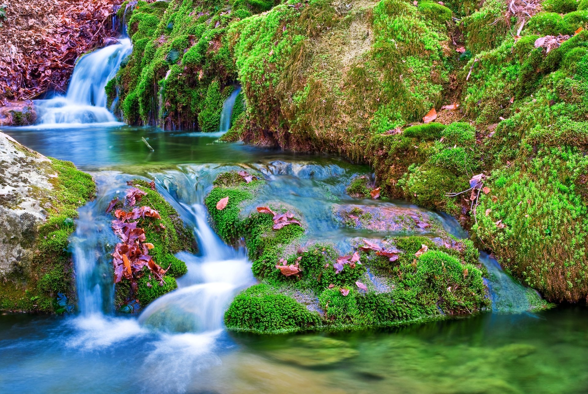 río piedras musgo hojas