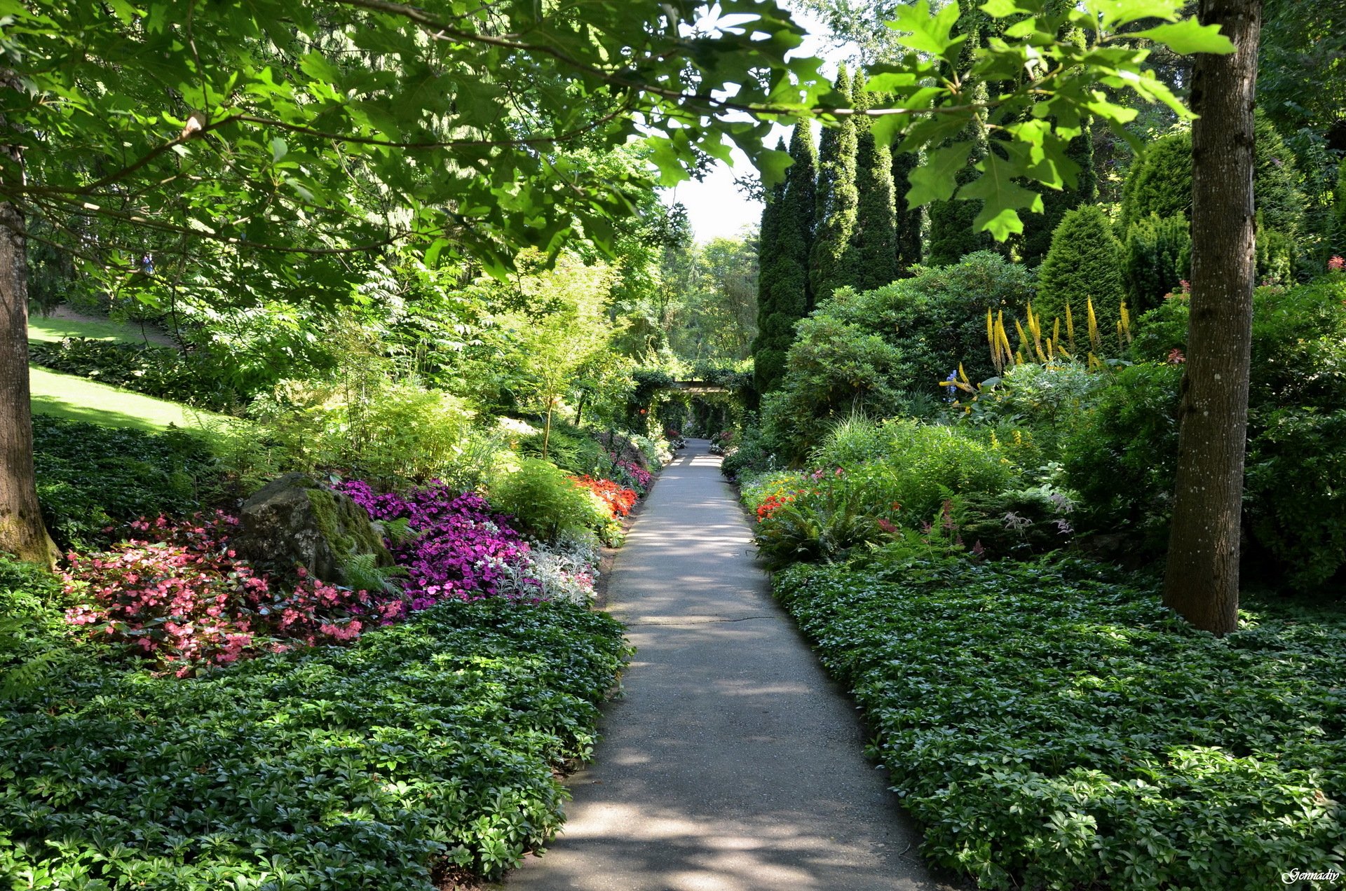 israel bahai-garten bahai-gärten haifa straße garten sträucher kmen grüns moos blumen himmel