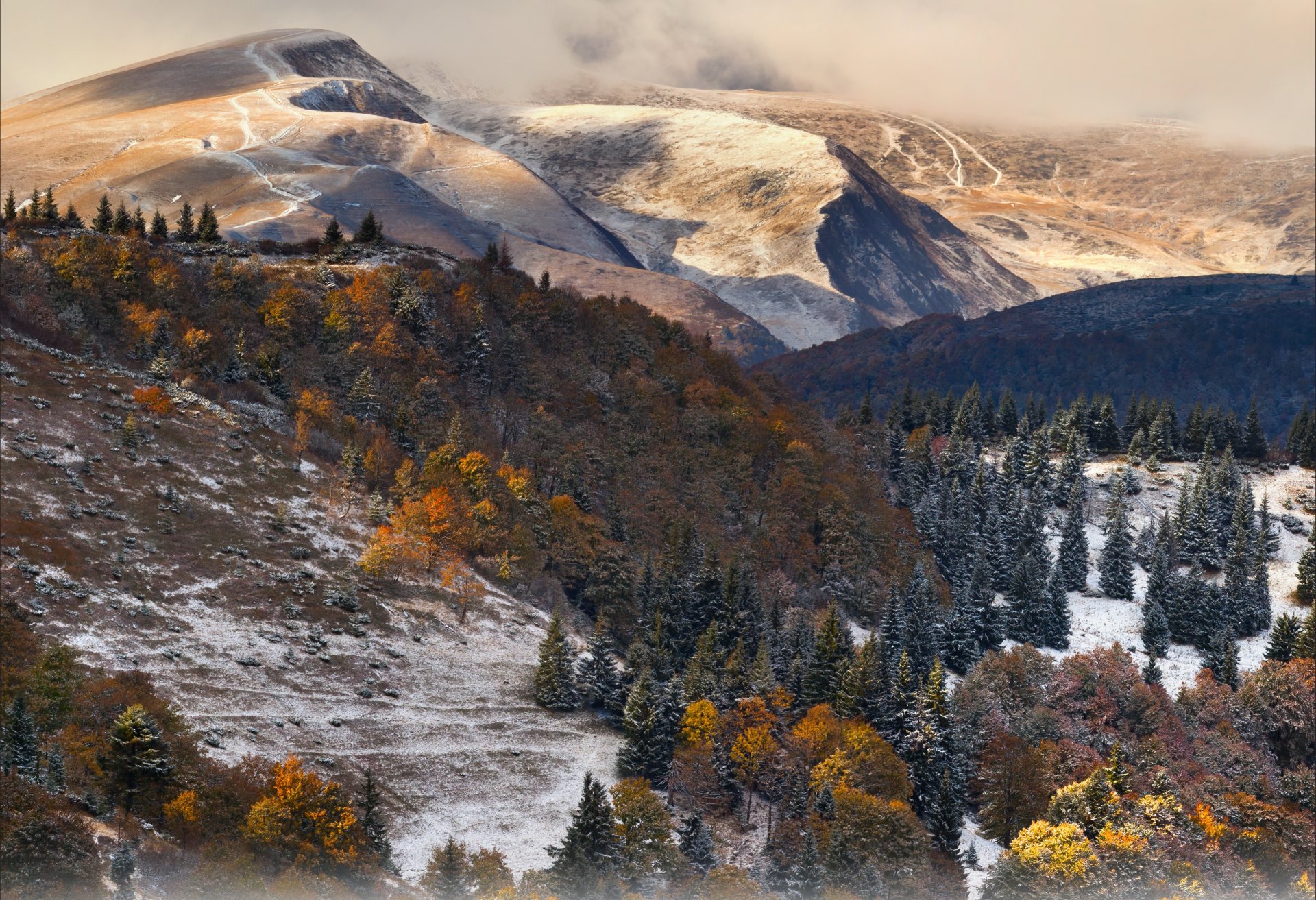 montañas nieve bosque nubes