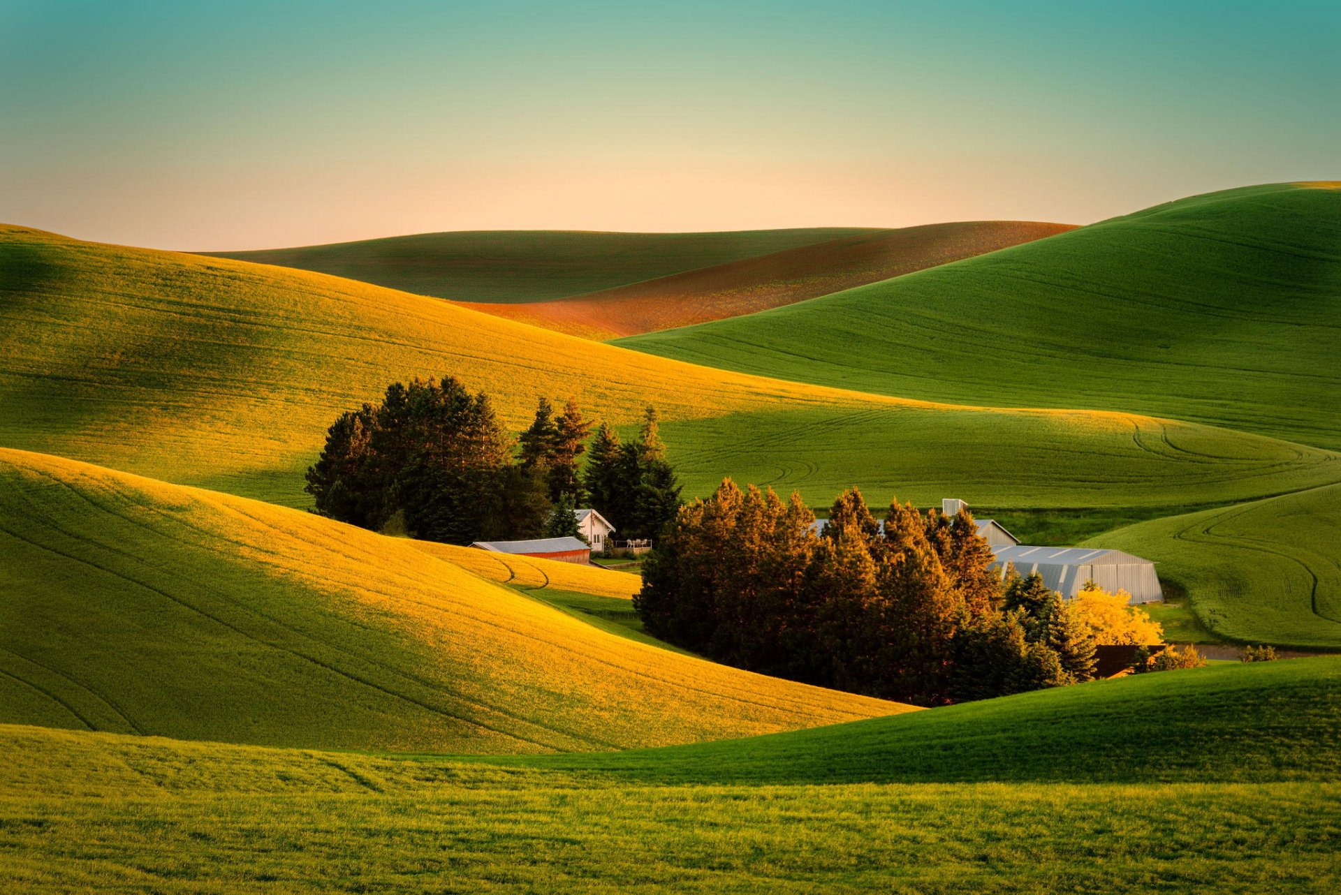 ansicht feld haus bauernhof natur