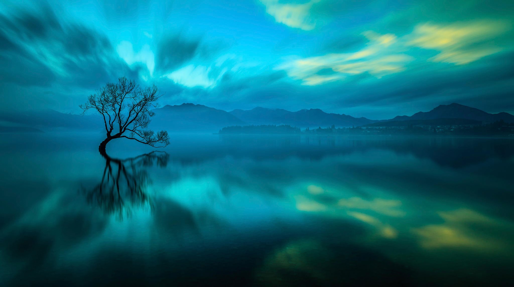 wanaka new zealand lake tree