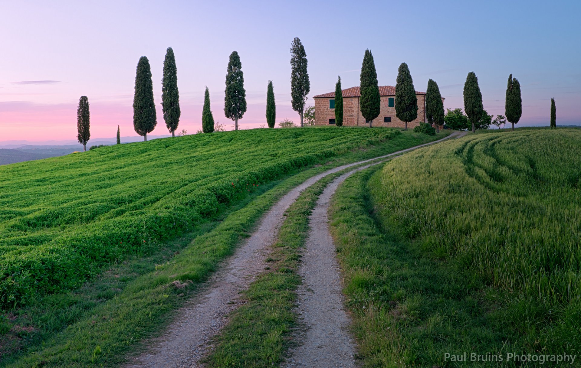 italie toscane route sentier herbe arbres cyprès soirée rose coucher de soleil ciel nuages