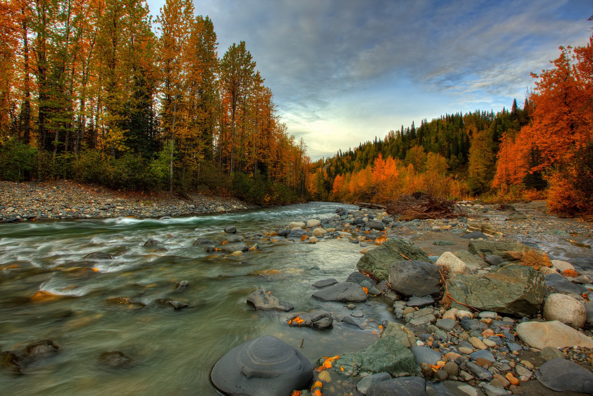 alaska otoño bosque río corriente piedras