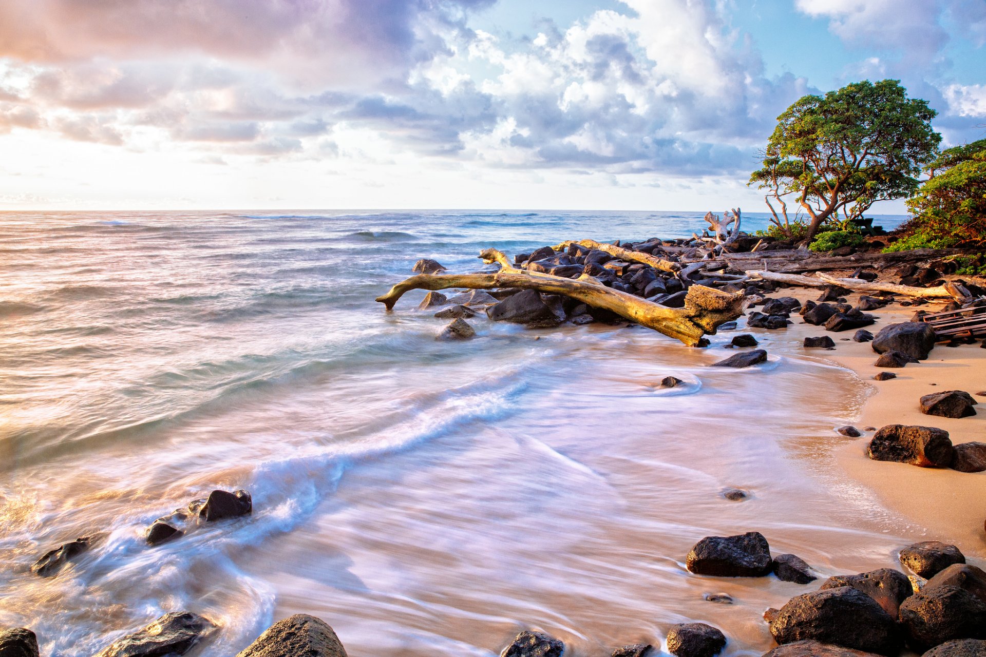 nature sea ocean water waves beach sand stones branches tree sky cloud