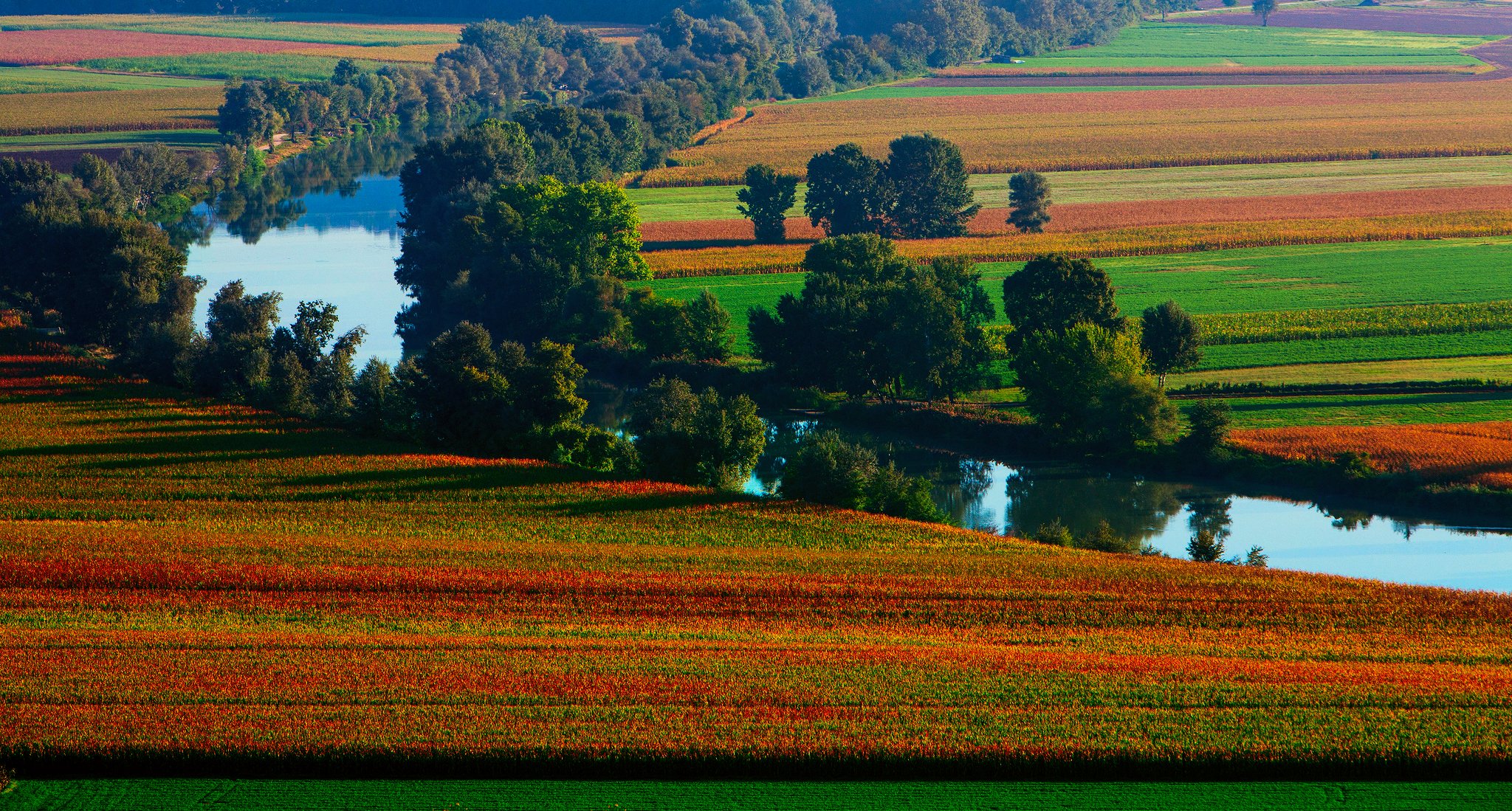 naturaleza verano río campos