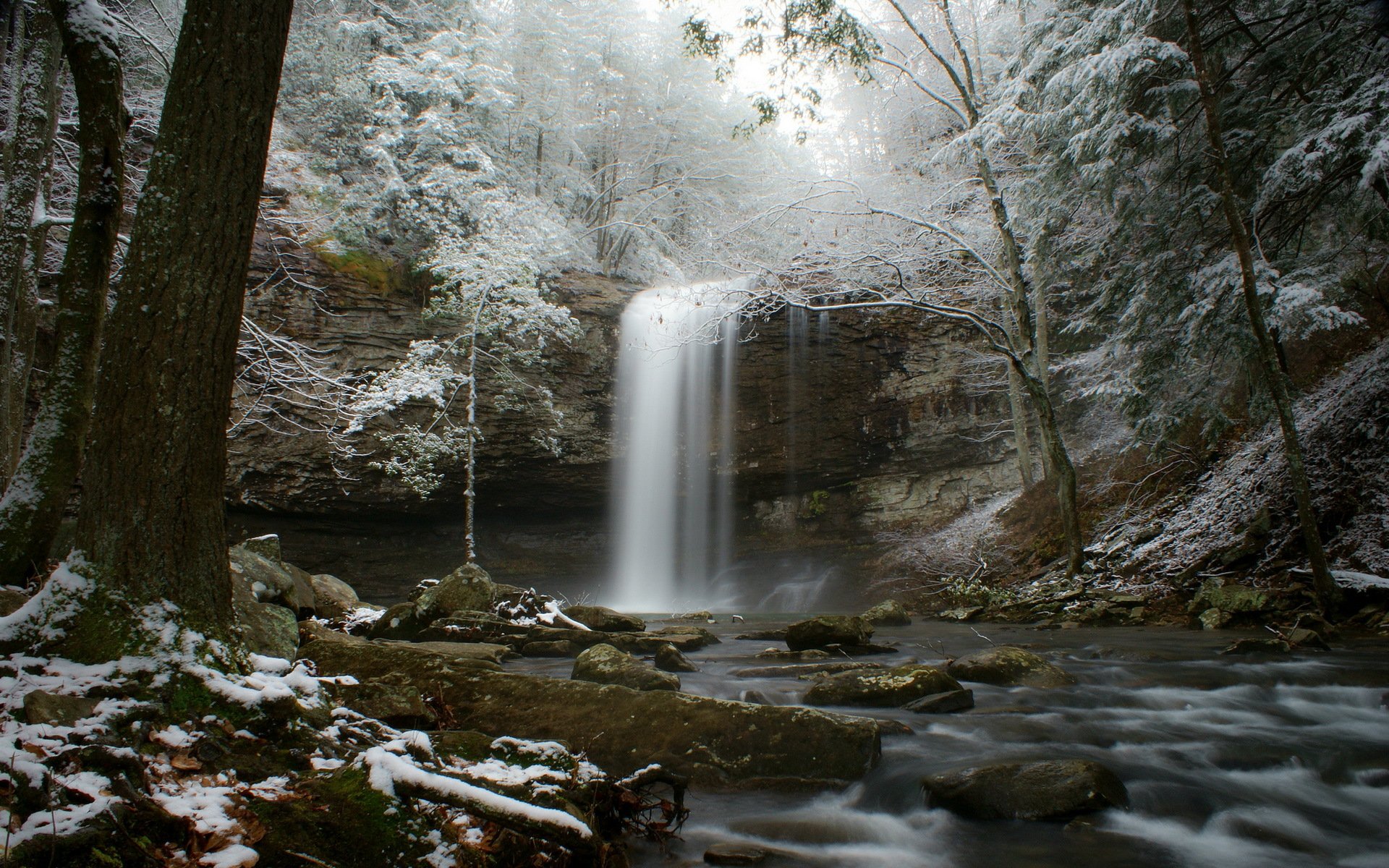 winter forest feed waterfall river snow frost