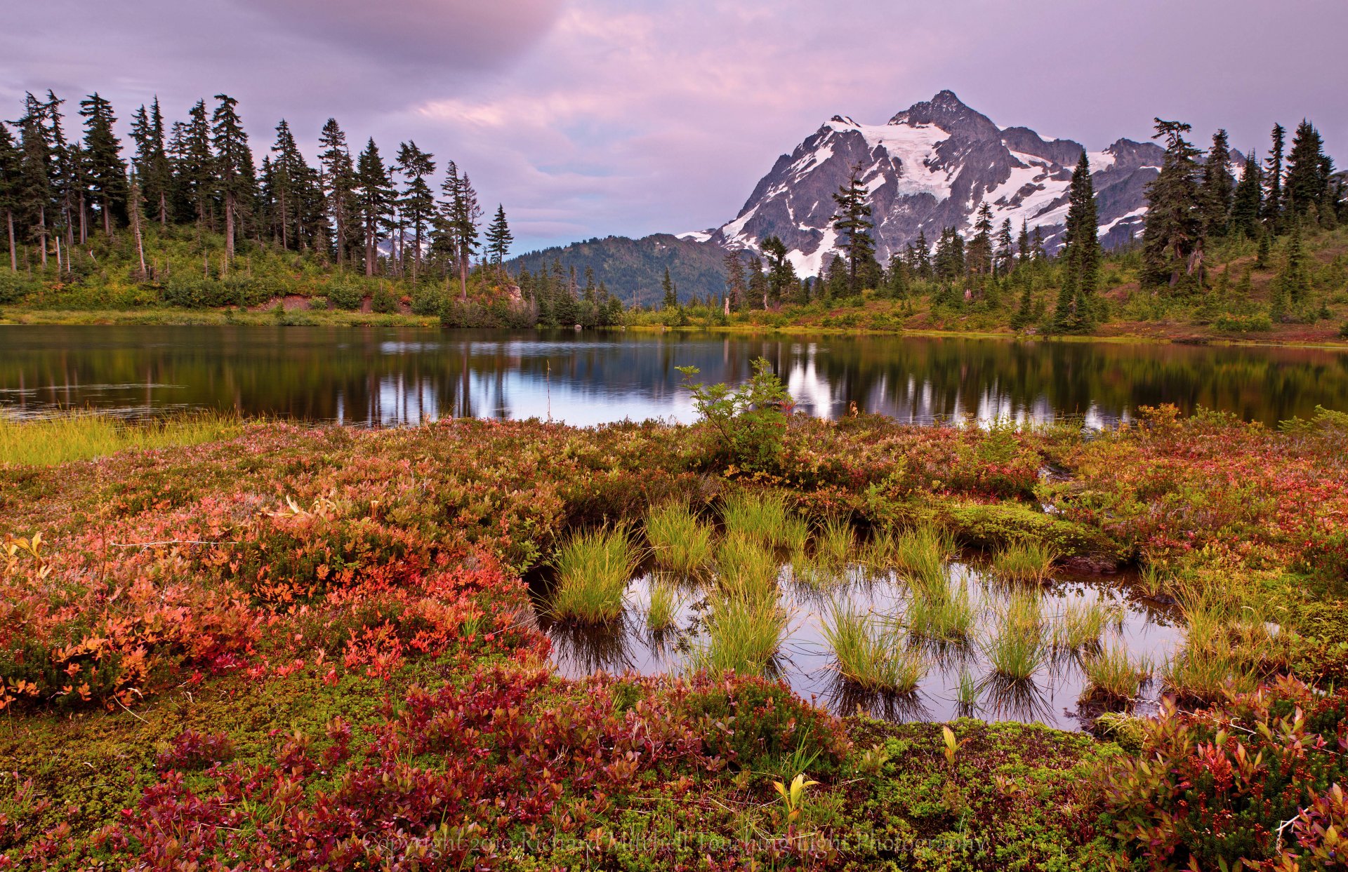 berge see bäume blumen sumpf gras himmel wolken landschaft