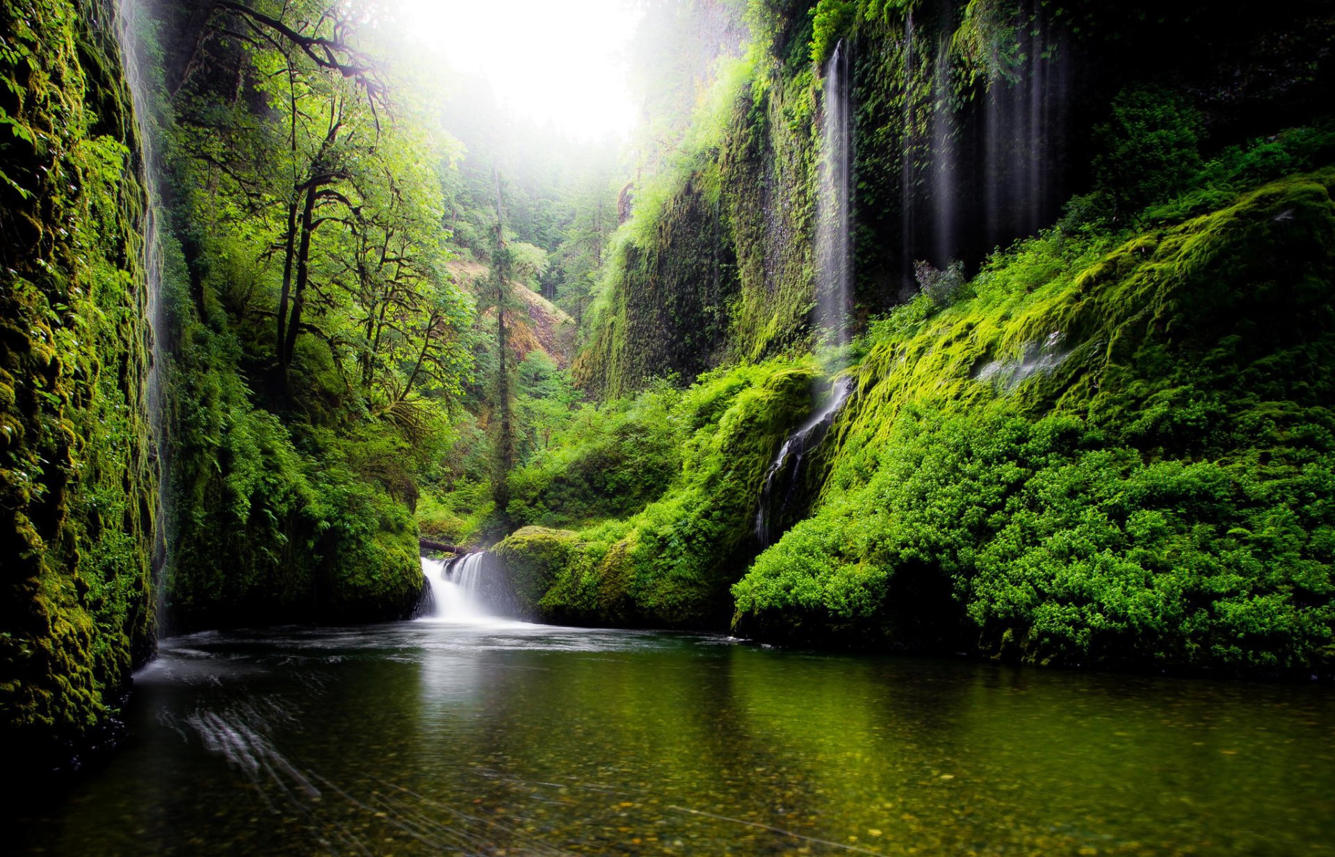 usa oregon wasserfälle fluss wasser bäume blätter grün frühling natur