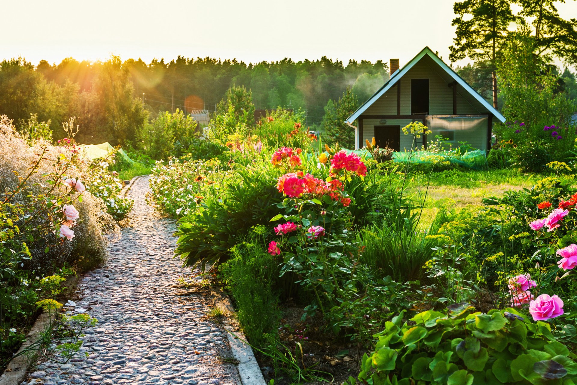 haus sommer blumen gehweg sonne sonnenuntergang