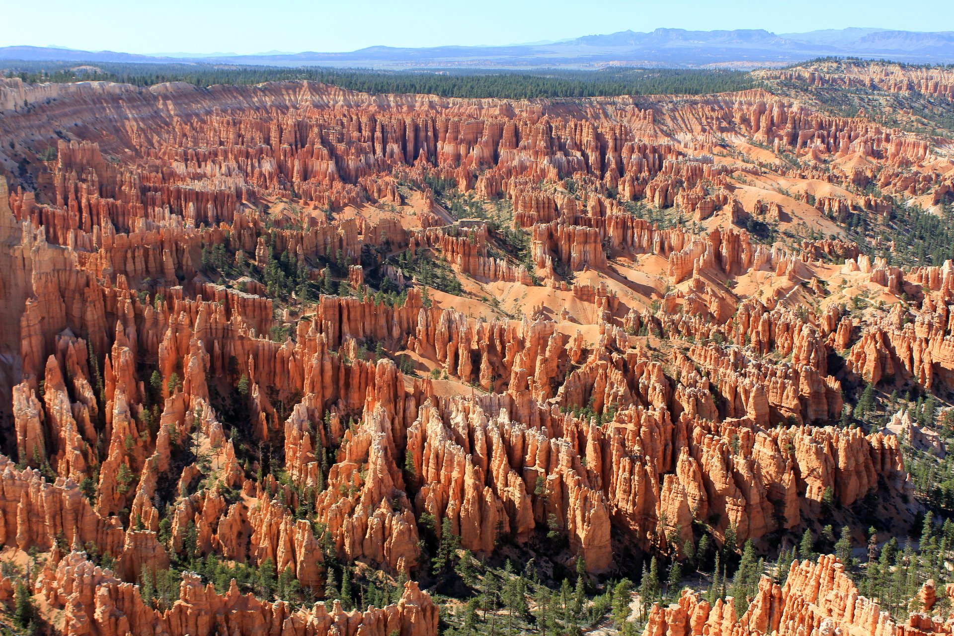 bryce canyon bryce canyon altopiano di pountsaugant utah usa anfiteatro naturale gigante colori rocciosi rossi arancioni e bianchi conifere