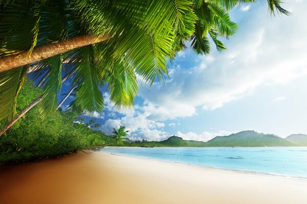 Playa de arena en los trópicos frente al océano