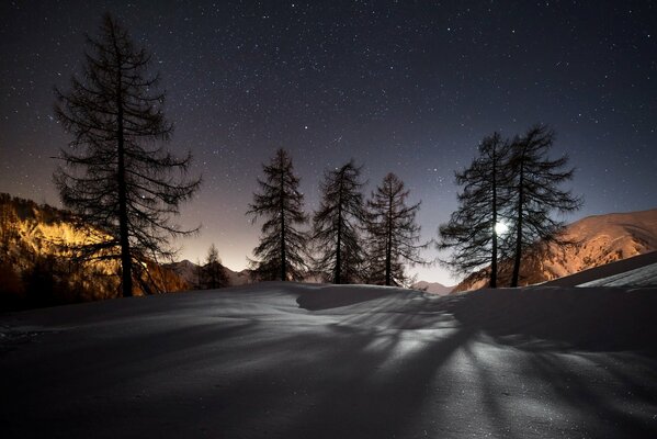 Naturaleza bajo la nieve en la noche en invierno