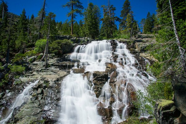 Cascade dans la nature de la forêt