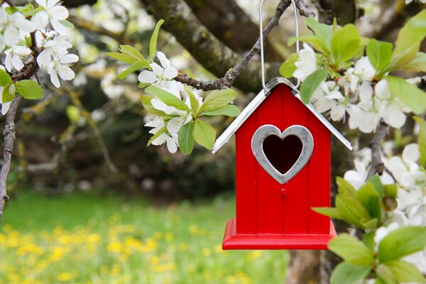 Casa de pájaros roja colgando en un árbol