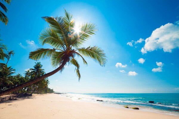 Playa tropical frente al mar