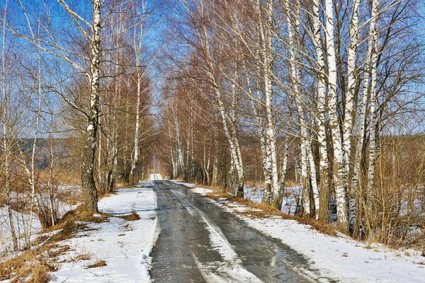 Au printemps, les routes sont floues