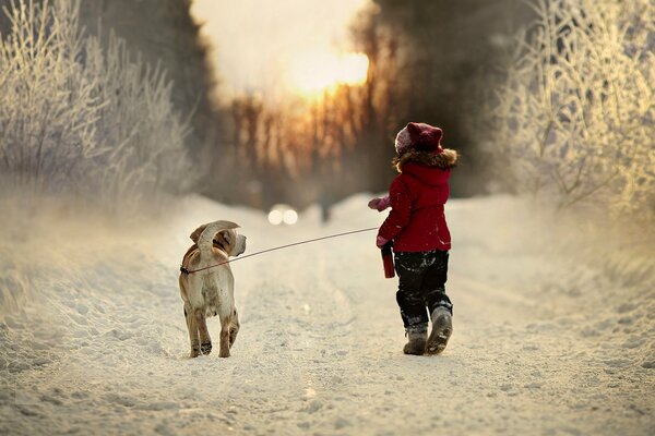 Promenade d hiver d un enfant avec un chien