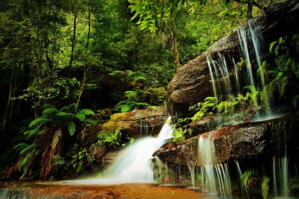 Landscape, waterfall in the forest