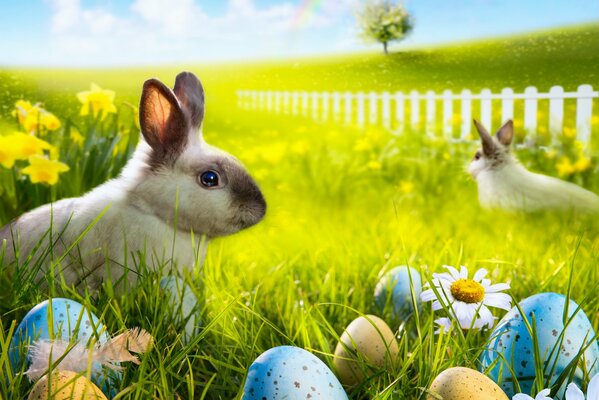 Dos conejitos de Pascua se sientan en la hierba verde bañada por el sol, entre flores y huevos pintados contra un arco iris en el cielo y golondrinas