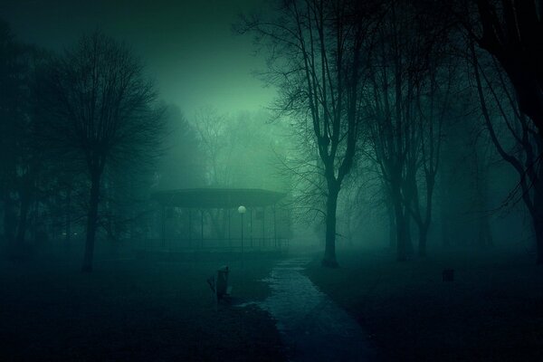 Sombre parc de nuit brumeux