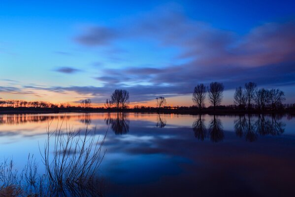 Riflesso degli alberi sulla superficie liscia del fiume. Paesaggio crepuscolare