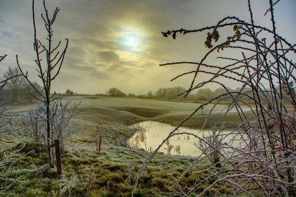 Die Wintersonne und das Ufer des Teiches