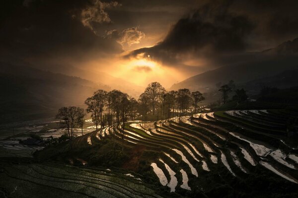 Sapa vietnamita con la puesta del sol cayendo sobre los árboles