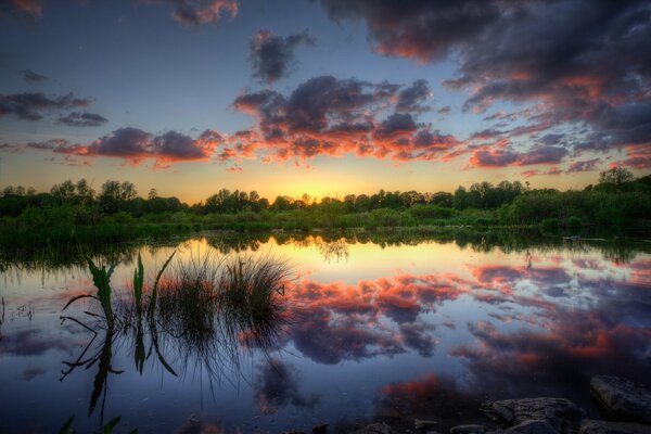 Reflection of clouds in the swamp