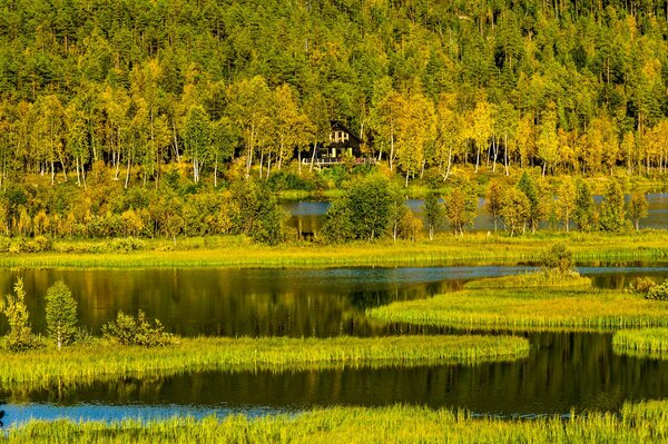 Il paesaggio unico della natura Norvegese