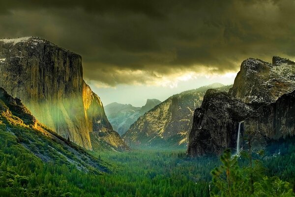 Mountains and forest in Yosemite National Park