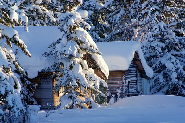 Case innevate nella foresta. Mangiato nella neve