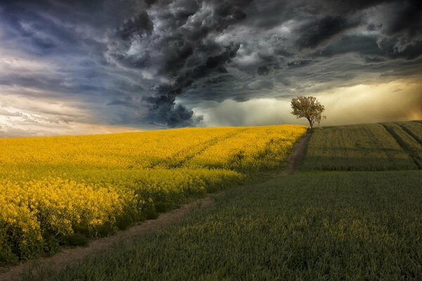 Route dans le champ avant l orage