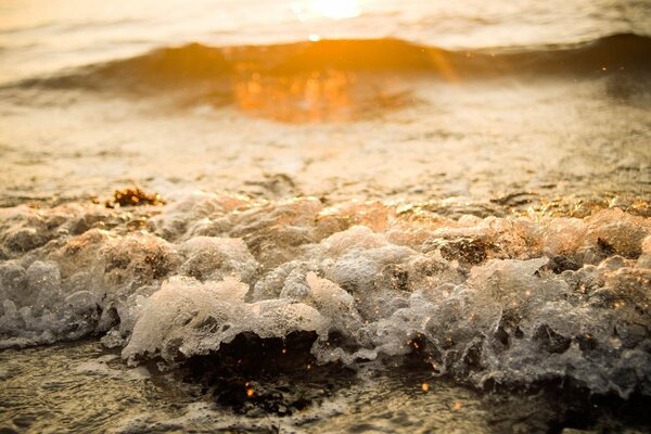 Seashore with waves