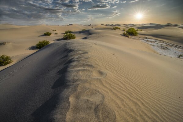 Dunes de sable dans le désert silencieux