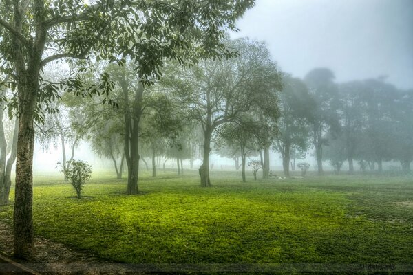 Parlare nella nebbia può vedere se stessi