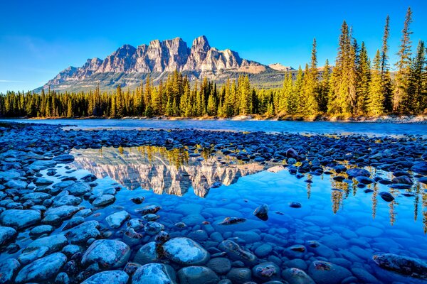 Lake, forest and mountains. Beautiful nature