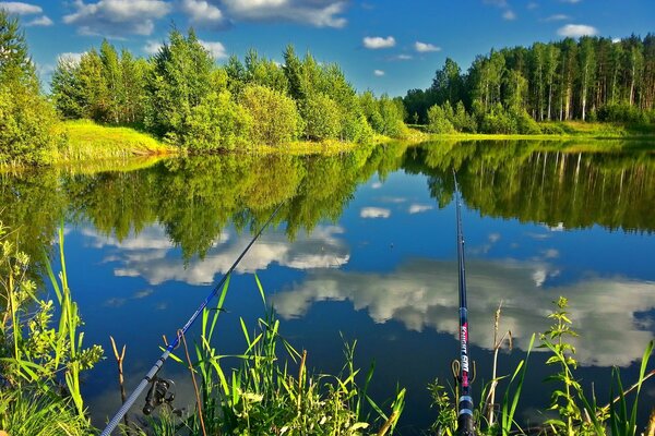 Pesca en la naturaleza del lago en el bosque con cañas de pescar