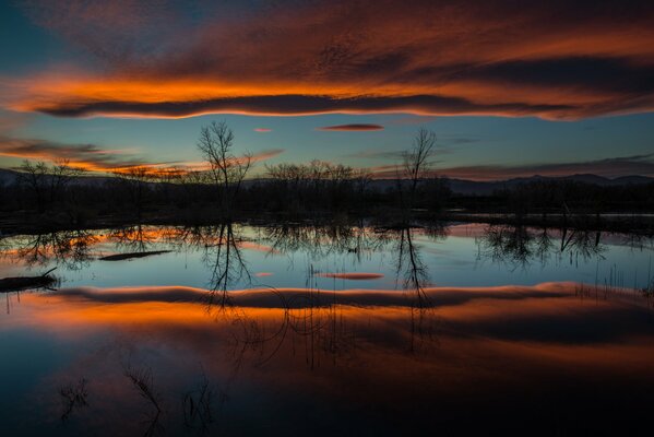 Naturaleza por la noche cerca del lago al atardecer